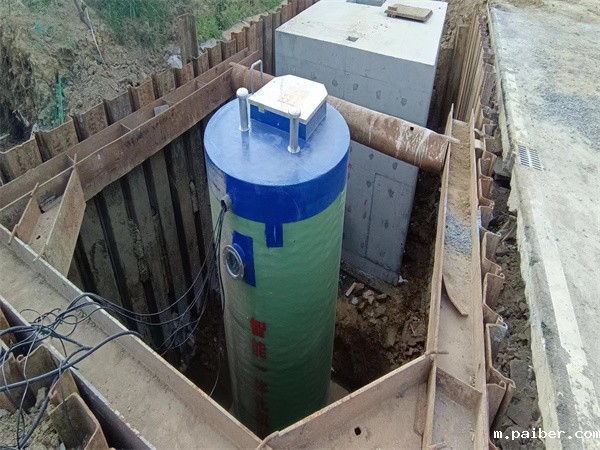 2026世界杯橄榄球场